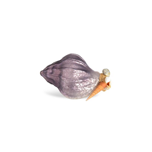 Dekoratívny objekt shell, slivka