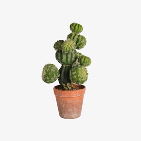 Kunstcactusplant in een pot
