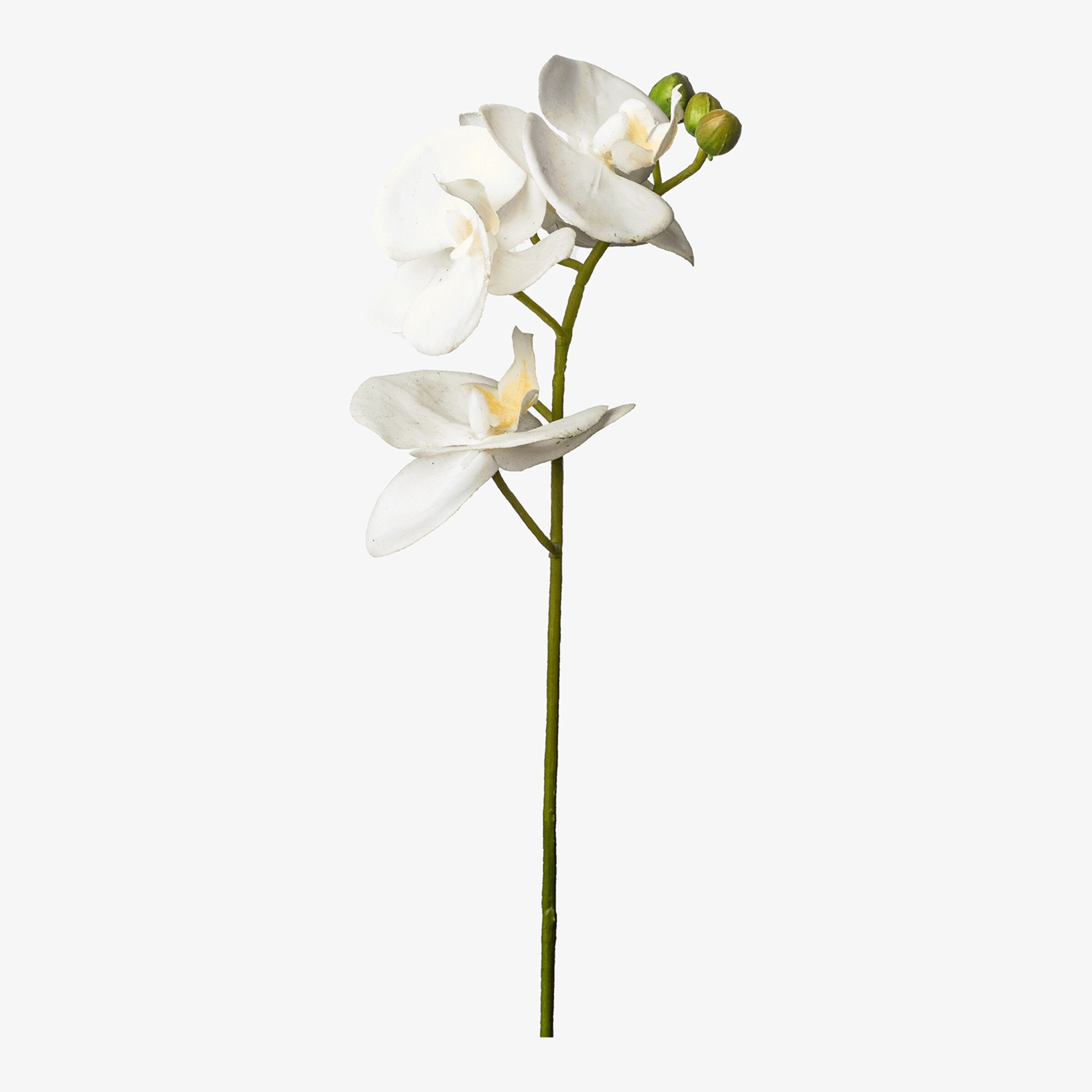 Fleur de tige artificielle Orchidée