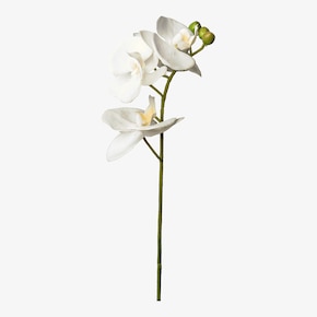 Kunst-Stielblume Orchidee
