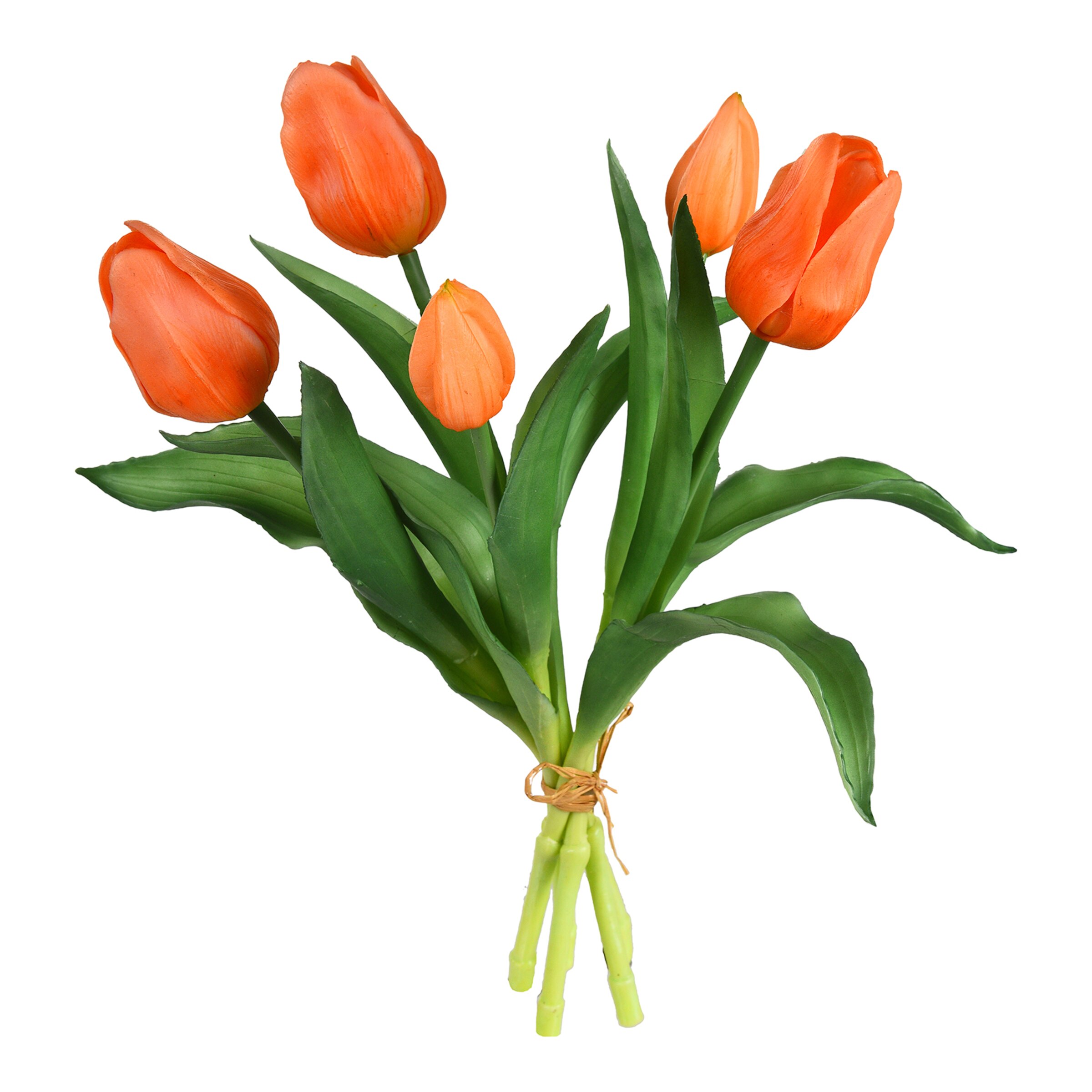 koop-tulpenbund-ca-28cm-online-depot