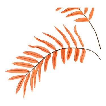 XL-Kunstblatt Palm Leaf