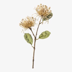 Umelý stonkový kvet Protea