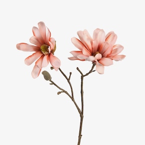 Kunstzweig Magnolia