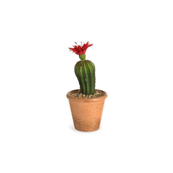 Kunstpflanze Kaktus mit Blüte im Topf, rot