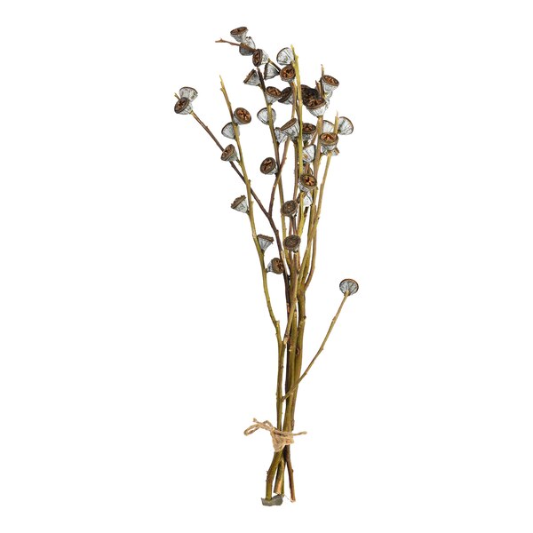 Trockenblumen-Bündel Knospenzweige, braun