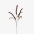 Umelá trstinová tráva Softflower slivka