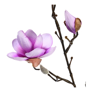 Kunstzweig Magnolie