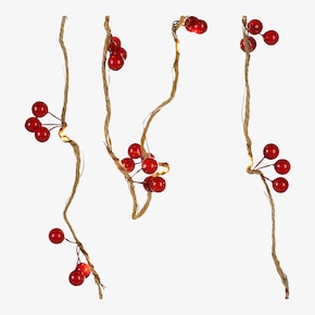 Outdoor-Lichterkette Berries