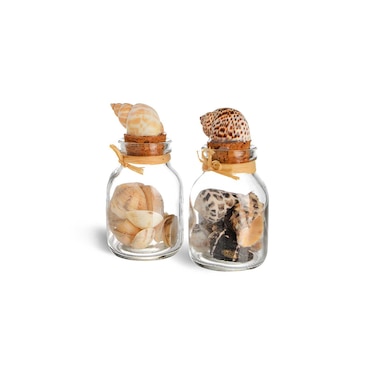 Mélange de coquillages décoratifs en verre