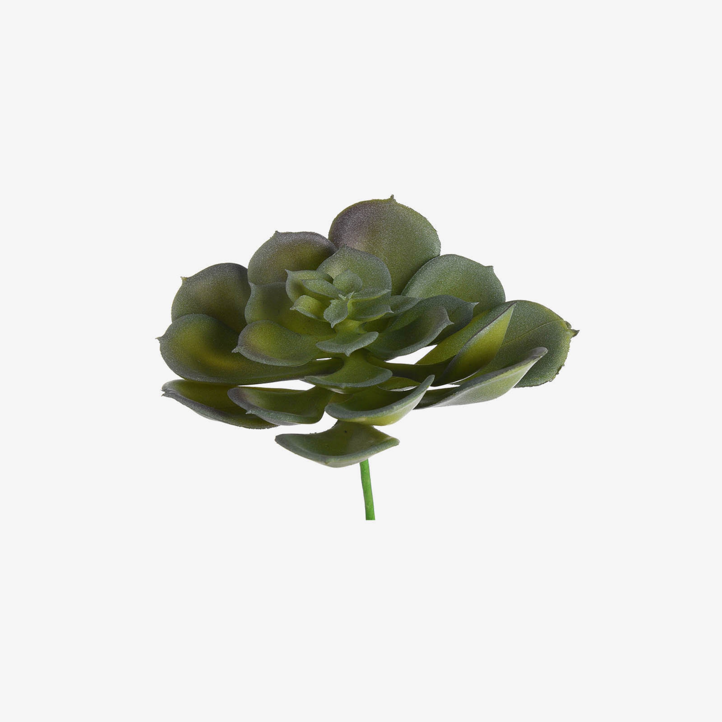 Fleur artificielle succulente