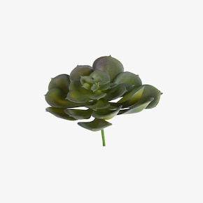 Kunstbloem succulent