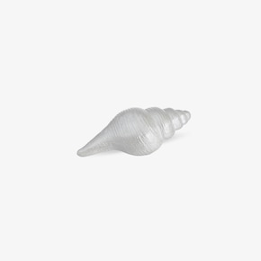 Dekoratívny objekt shell
