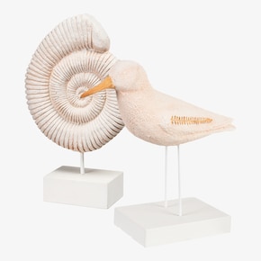 Deko-Objekte-Set Seabird & Noin