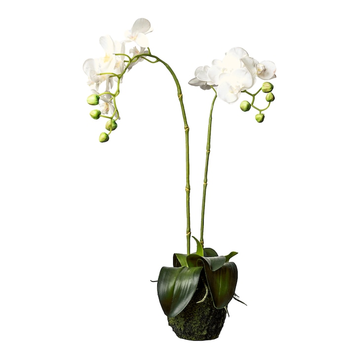 Kunstblume Orchidee Phalaenopsis in Erde