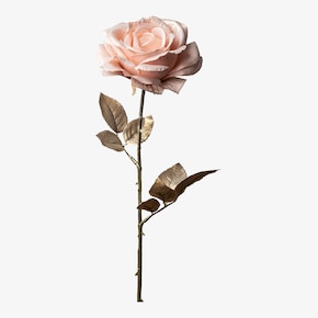 Rose ca. 66cm