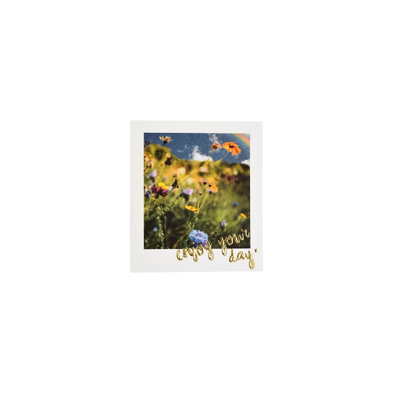 Postkarte Wiesenblumen