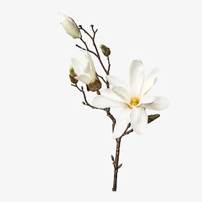 Kunsttak Magnolia