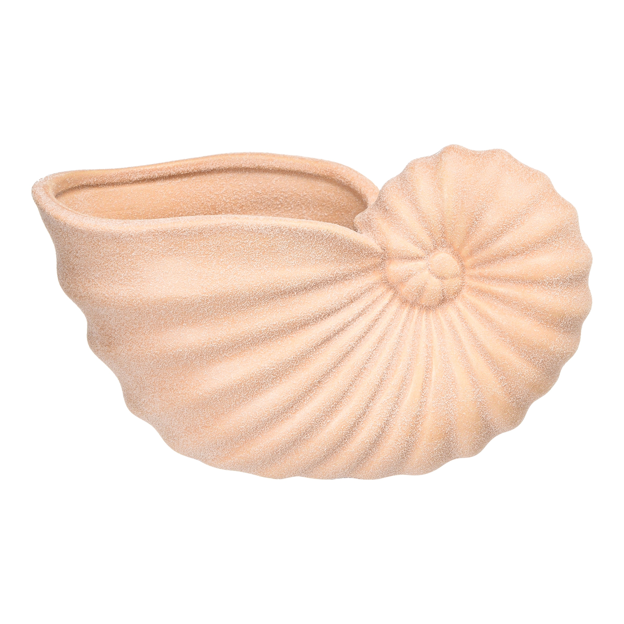 Dekofigur Muschel ca.18x9x10,5cm, beige günstig online kaufen