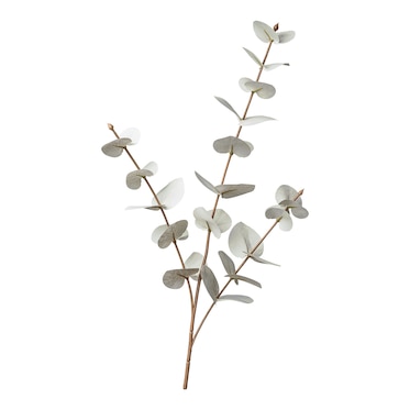 Umelý stonkový kvet Eukalyptus