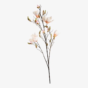 Branche artistique magnolia doré