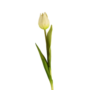 Tulpe ca. 27cm