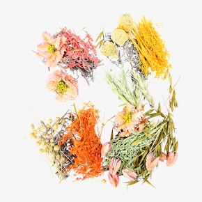 Trockenblumen-Potpourri Flowermix