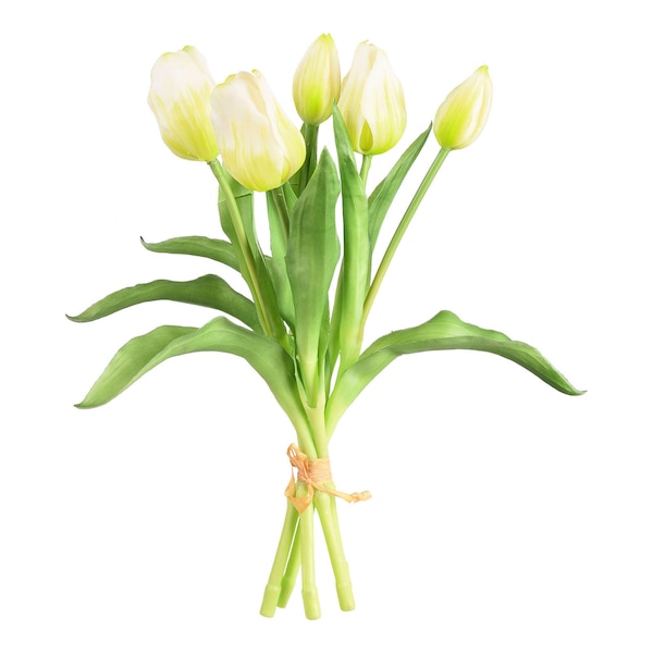 Kunst-Blumenbund Tulpen, weiß