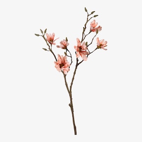 Kunst-Zweig Magnolia