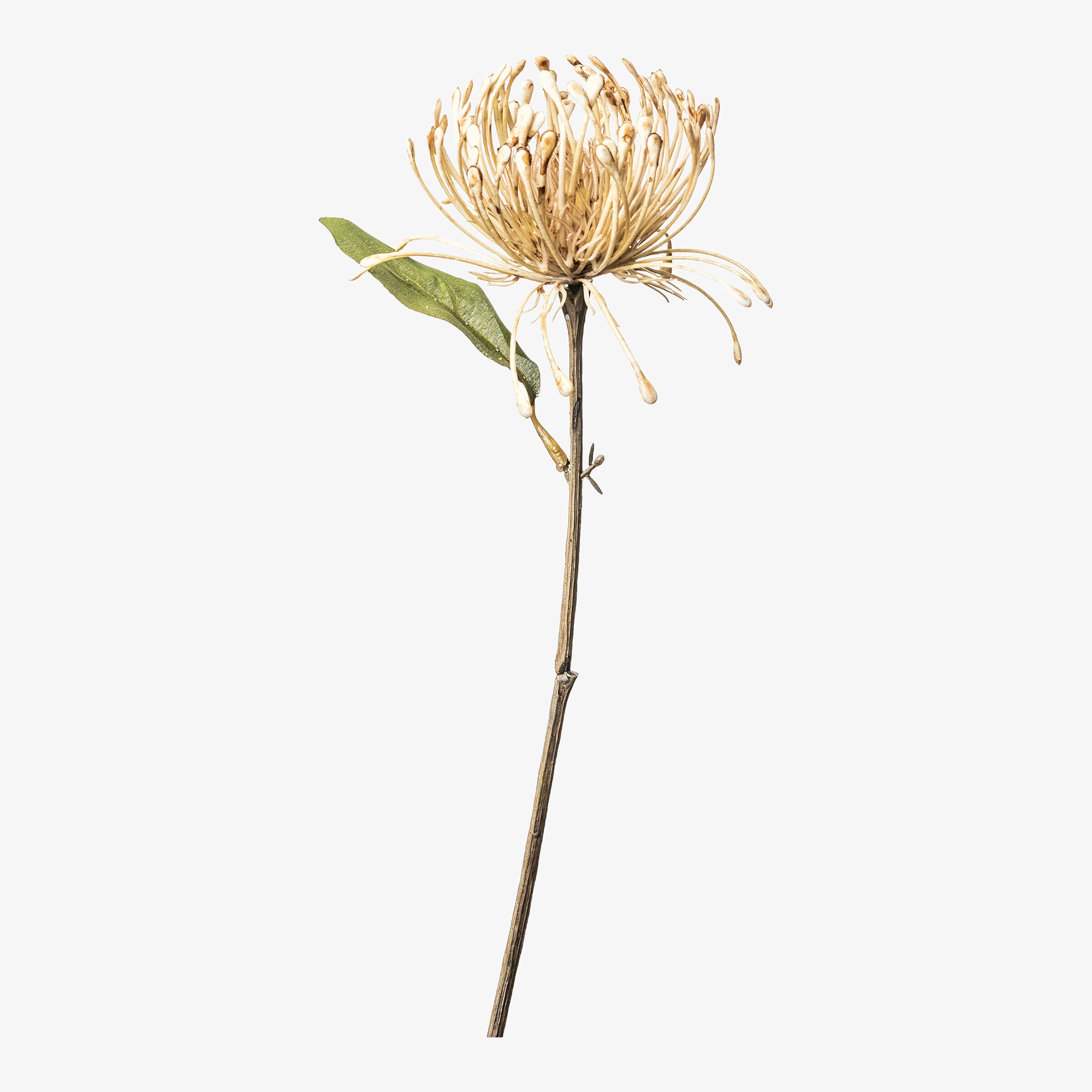 Fleur de tige artificielle Protea