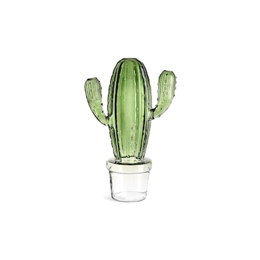 Vasen-Set Kaktus