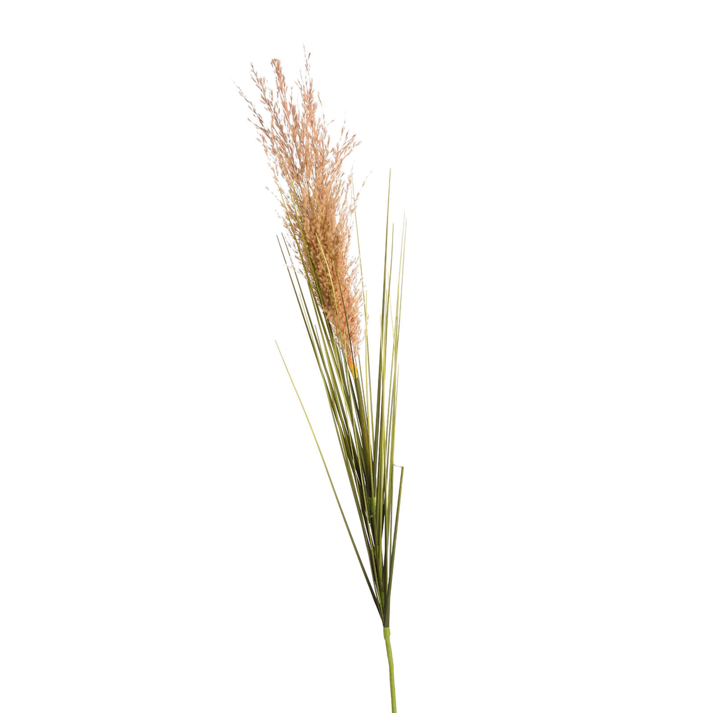 Achetez Fleur de tige artificielle herbe de la pampa en ligne | DÉPÔT
