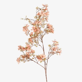 Pobočka čerešňového kvetu