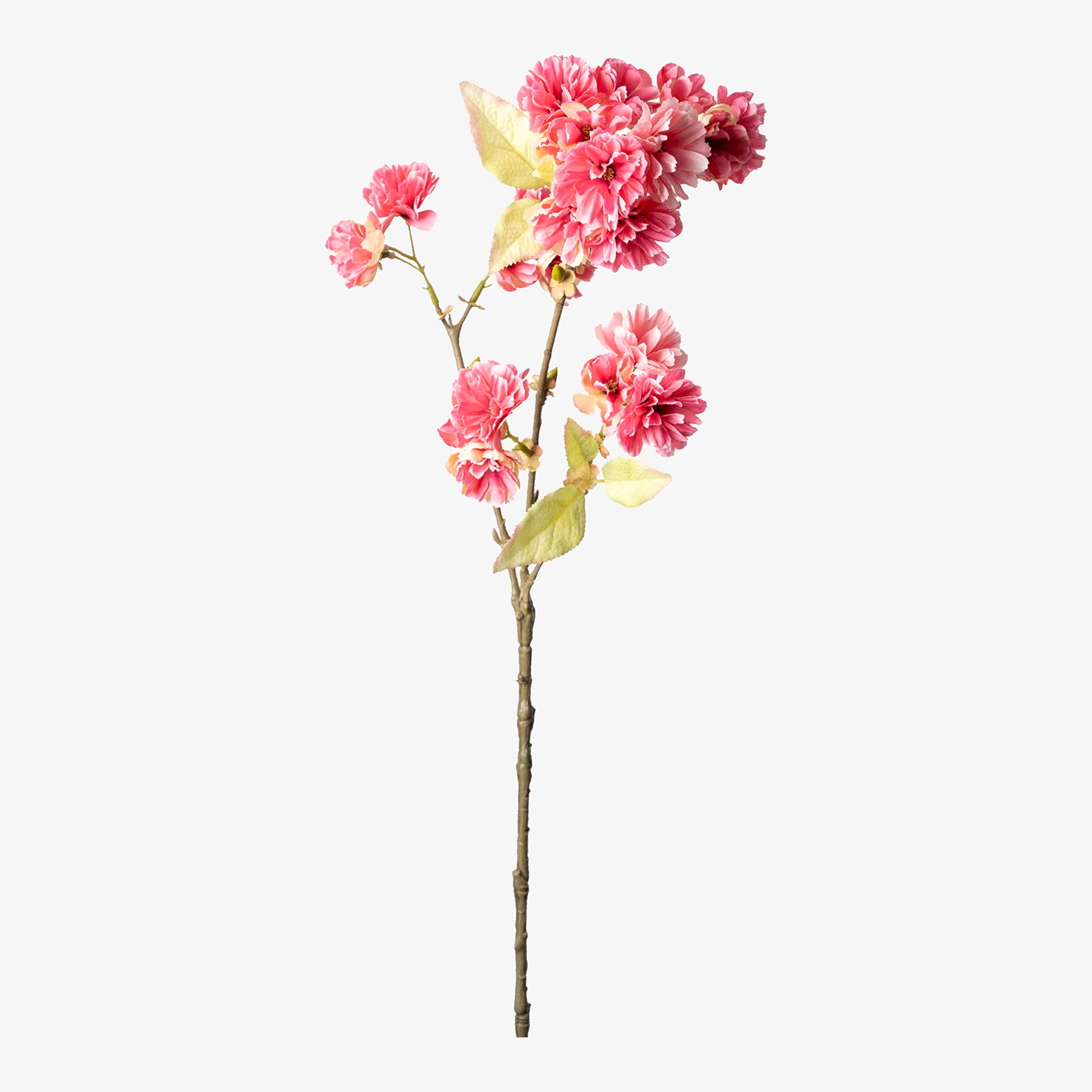 Branche artistique fleur de cerisier