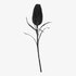 Kunstblume Protea schwarz