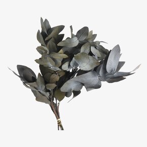 Bouquet de fleurs séchées Eucalyptus